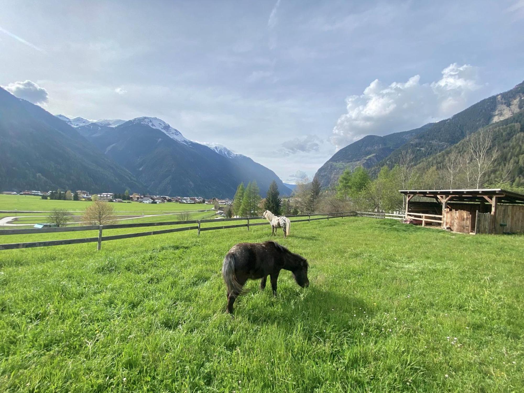 Ferienhaus Tirol Im Oetztal Умхаузен Экстерьер фото